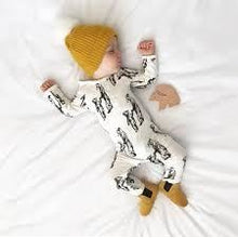 Load image into Gallery viewer, Clever Fox Teether Toy - Hope & Jade