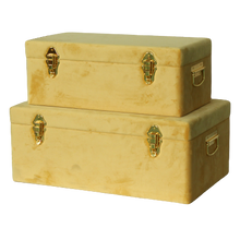 Load image into Gallery viewer, Storage case set Luxe velvet - Mustard and gold