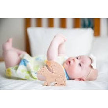 Load image into Gallery viewer, Clever Fox Teether Toy - Hope &amp; Jade